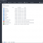 File manager software