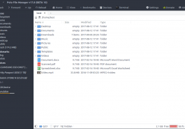File manager software